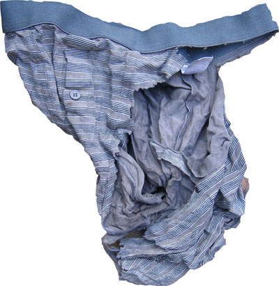 Shredded Pants image