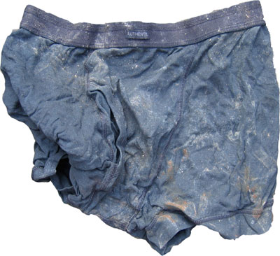 Distressed Pants image